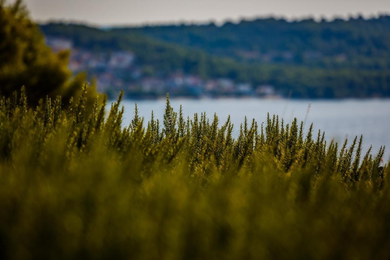 Villa Amarina Trogir Exteriör bild
